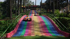 Serunya Belajar di Alam! SD Muga Pandaan Gelar Bilingual Fun Outbound dan Tadabur Alam di Tanaria Park Prigen